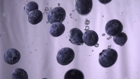 blueberries-falling-in-water-with-white-background,-120fps-slow-motion-blueberry-fruit-falling-in-a-water-tank