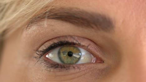 Eye-macro-closeup