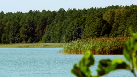Wdzydze-Lake-in-Kaszubski-park-krajobrazowy-in-Pomeranian-Voivodeship