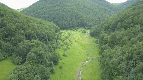 Borov-Kamak,-Vratsa,-Bulgaria,-creek-in-the-forest