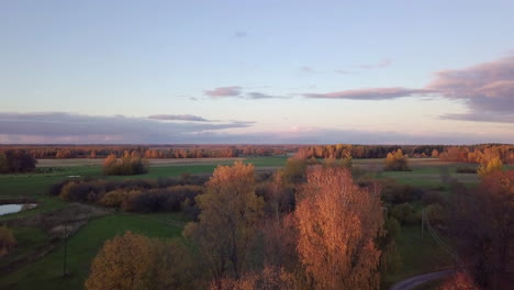 Fliegen-Sie-Am-Herbstabend-Im-Goldenen-Sonnenuntergang-über-Die-Bunten-Baumkronen