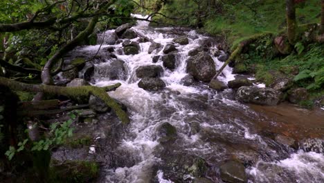 Der-Poulanass-Fluss-Stürzt-über-Felsbrocken-An-Der-Spitze-Der-Wasserfälle-Im-Wicklow-nationalpark,-Irland