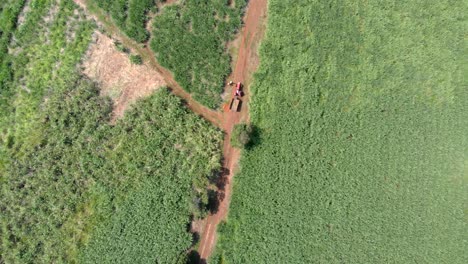 DRONE:-TRACTOR-WORKING-ON-SUGAR-CANE-PLANTATION