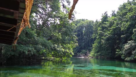 Wide-shot-of-big-trees-and-a-green-natural-lake-with-a-transparent-water