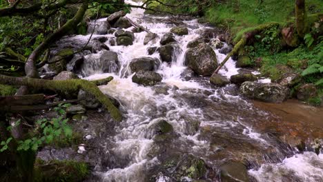 Der-Poulanass-Fluss-Stürzt-über-Felsbrocken-An-Der-Spitze-Der-Wasserfälle-Im-Wicklow-nationalpark,-Irland