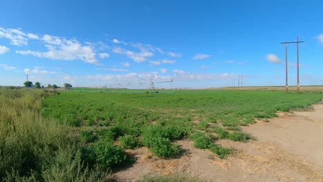 Pivot-Irrigation-system-on-an-alfalfa-field-in-eastern-Washington-state