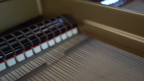 Inside-of-Grand-Piano