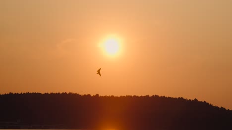 sunset-lake-hang-glider-close-up