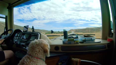 Pov-Des-Beifahrers-In-Einer-Großen-Klasse-Ein-Freizeitfahrzeug-Während-Der-Fahrt-Durch-Die-Okanogan-Highlands-Des-Bundesstaates-North-Central-Washington-Mit-Einem-Labradoodle-Hund-Im-Vordergrund
