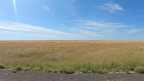 POV-out-the-passenger's-window-while-driving-thru-an-agricultural-area-of-Eastern-Washington-State