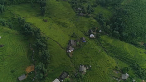 Tilting-Aerial-Shot-of-the-Sapa-Rice-Fields-in-Vietnam