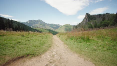 Paisaje-De-Montaña:-Camino-A-La-Cima-Del-Pico