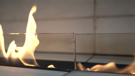 Interior-Modern-Glass-Fireplace-Setting