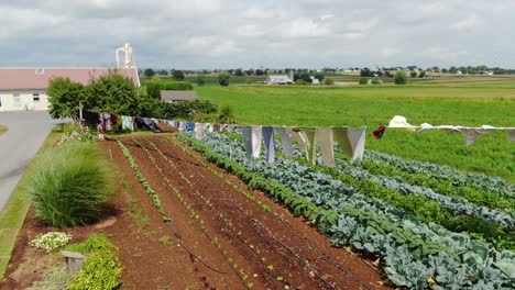 Forward-AERIAL-dolly-shot-of-Amish-vegetable-garden,-laundry-drying-in-the-wind,-scenic-Lancaster-Pennsylvania-rural-farmland