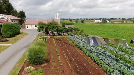 Rising-reverse-aerial-of-Amish-vegetable-garden,-laundry-drying-in-breeze,-scenic-Lancaster,-Pennsylvania-farmland