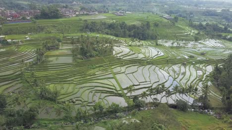 Aerial-view-of-the-Unesco-world-heritage-rice-fields-at-Jatiluwih,-Bali,-Indonesia-on-a-cloudy-day