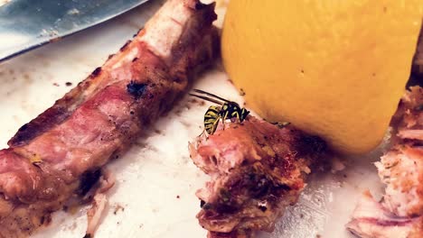 A-wasp-has-taken-over-a-piece-of-meat