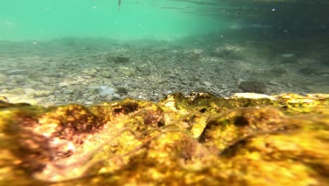 Underwater-footage-with-rocky-bed-and-few-small-fishes
