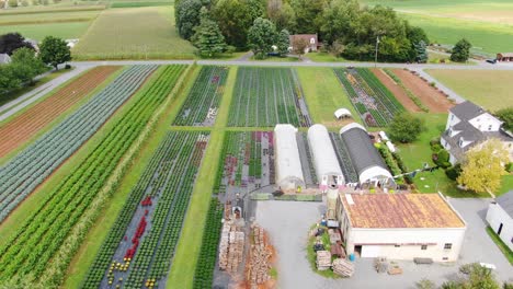 High-aerial-shot-of-Amish-farm-and-greenhouses-in-Lancaster-County,-Pennsylvania-with-thousands-of-mums-blooming-in-fall
