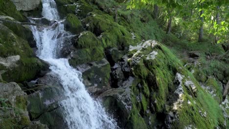 Ein-Schnell-Fließender-Alpiner-Wasserfall