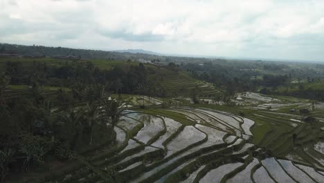 Vista-Aérea-De-Los-Campos-De-Arroz-Del-Patrimonio-Mundial-De-La-Unesco-En-Jatiluwih,-Bali,-Indonesia-En-Un-Día-Nublado