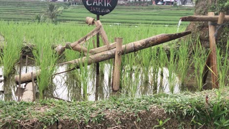 Luftaufnahme-Der-Unesco-weltkulturerbe-Reisfelder-In-Jatiluwih,-Bali,-Indonesien-An-Einem-Bewölkten-Tag