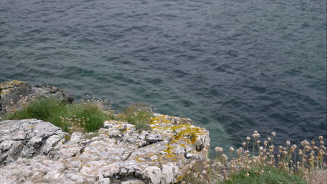 Close-up-view-of-beautiful-cliff-top-in-Cornwall-looking-down-to-coastal-sea-waters,-panning-shot