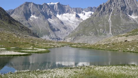 Hochalpine-Schneebedeckte-Gipfel-Und-Ein-Kristallklarer-Alpenbach,-Umgeben-Von-Alpinen-Pflanzen-Und-Felsen