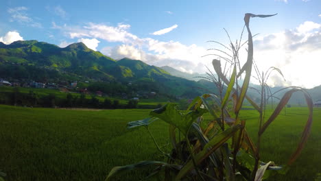 Rotierende-Zeitraffer-Sonne,-Die-Durch-Die-Reisfelder-Von-Sapa-Vietnam-Bricht