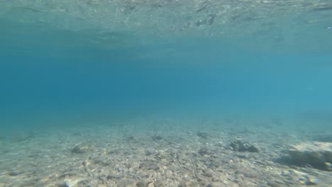 Seeigel-Unter-Wasser-Und-Wunderschönes-Kristallklares-Meer
