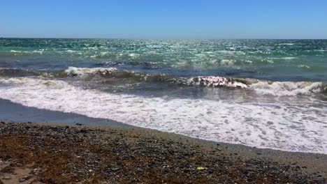 Sunny-day-with-blue-sky-at-the-beach-with-waves-on-the-shore-with-seaweed-in-Marbella-Malaga-Spain