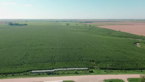 Aerial-view-a-green,-healthy-corn-field