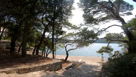 High-noon-sun-and-shimmering-water,-the-view-from-the-pine-tree-forest-shade-over-a-stony-path-and-small-dock