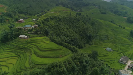 Luftaufnahme,-Die-Terrassierte-Reisfelder-In-Sapa-Vietnam-Enthüllt