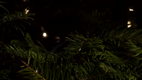 Panning-close-up-shot-of-pine-needles-and-lights-on-a-Christmas-tree