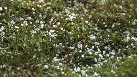Hail-grains-falling-in-to-the-grass-close-up