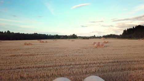 Slow-and-steady-aerial-shot-of-hay-rolls-on-the-freshly-harvested-wheat-field-in-countryside-of-Latvia