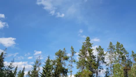 Landschaftsansicht-Zur-Seitlichen-Straßenansicht-Sehen-Sie-Viele-Kiefern,-Während-Sie-Das-Auto-Im-Nationalpark-Mit-Wunderschönem-Klaren-Blauen-Himmel-Am-Sommertag-In-Banff,-Kanada,-Bewegen