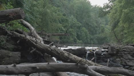 Fallen-trees-in-the-Wissahickon-Creek,-Philadelphia