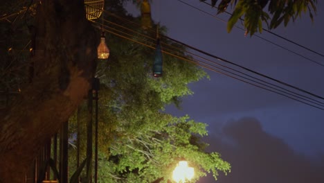 Bottles-Dangling-From-Tree-with-Street-Lamp-and-Clouds-in-Background