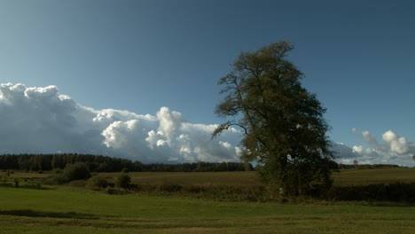 Otoño-Tormenta-Lluvia-Nubes-Time-lapse-Día-Soleado