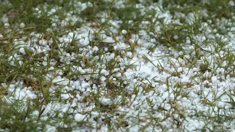 Hail-grains-falling-in-to-the-grass-close-up