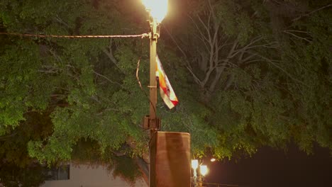 Kleine-Costaricanische-Flagge-Weht-Am-Laternenpfahl