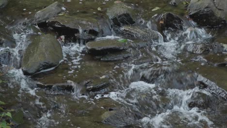 Wasser-Fließt-An-Großen-Steinen-Vorbei,-Wissahickon-Creek,-Philadelphia
