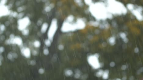 Rain-drops-falling-on-blurred-background