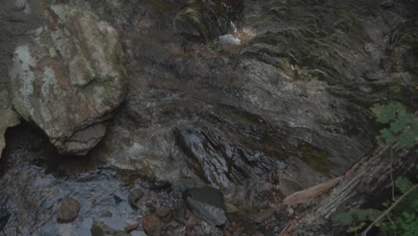 Agua-Que-Fluye-Sobre-Piedras,-Wissahickon-Creek,-Filadelfia