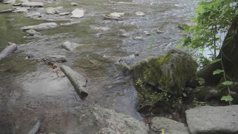 Wasser-Fließt-An-Großen-Steinen-Vorbei,-Wissahickon-Creek,-Philadelphia