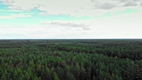 Aerial-shot-of-endless-boreal-forest-in-wdzydze-kiszewskie,-poland