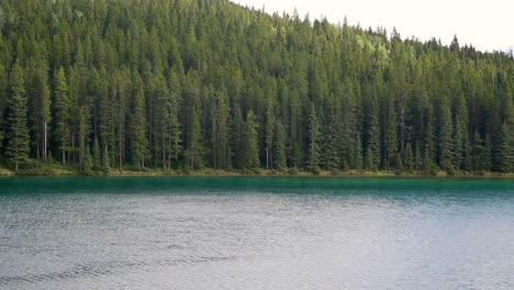 Paisaje-Hermosa-Vista-Natural-Del-Lago-Two-Jack-Con-Un-Hermoso-Bosque-De-Pinos-Y-Montañas-Rocosas-En-El-Fondo-En-El-Parque-Nacional-De-Banff,-Alberta,-Canadá-En-Verano-Sol-Durante-El-Día