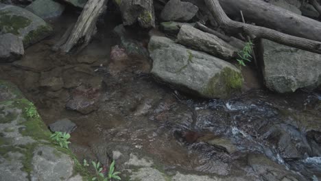Agua-Que-Fluye-Sobre-Grandes-Piedras,-Wissahickon-Creek,-Filadelfia